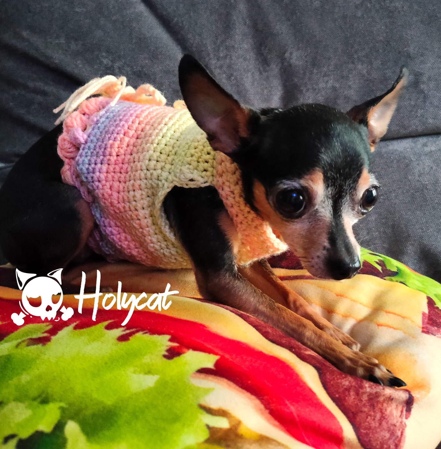 Blusa tejida Para Mascotas - Tienda de accesorios y moda Holycat Colombia